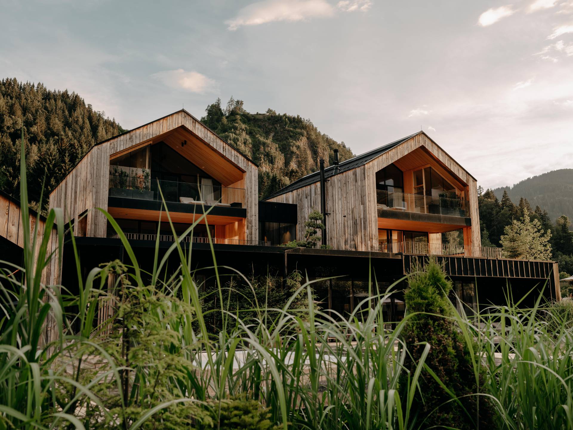 Gräser im sanften Sommerwind vor dem Seehaus des Forsthofguts.