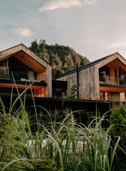 Gräser im sanften Sommerwind vor dem Seehaus des Forsthofguts.