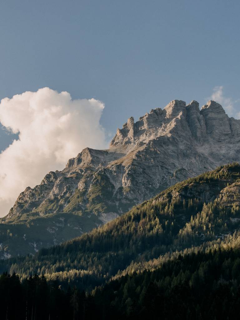Leo Mobil - Naturhotel Forsthofgut Karriere