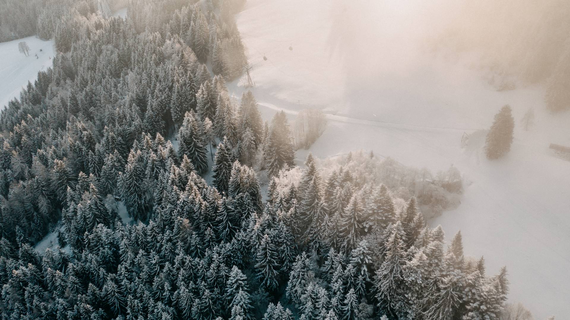 Schnee Winterurlaub Österreich Berge Leogang